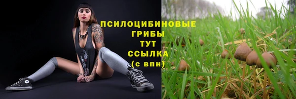 таблы Армянск