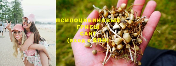 таблы Армянск