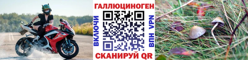 Псилоцибиновые грибы мухоморы Ржев