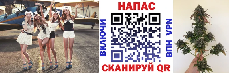 Канабис планчик  цена   Ржев 